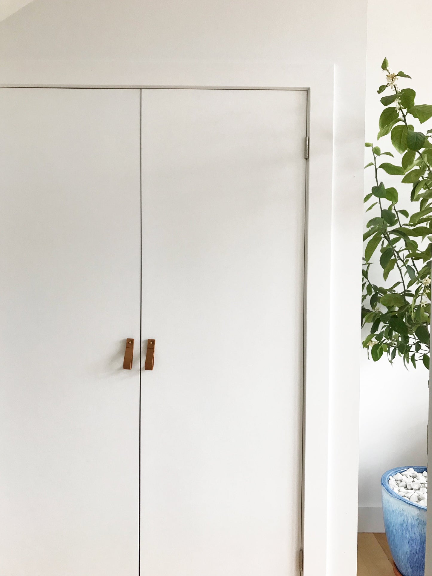 Entry + Mudroom Cover Photo