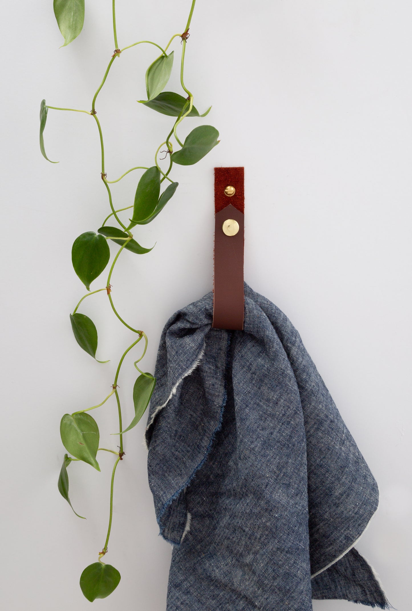 Storage Solutions Cover Photo