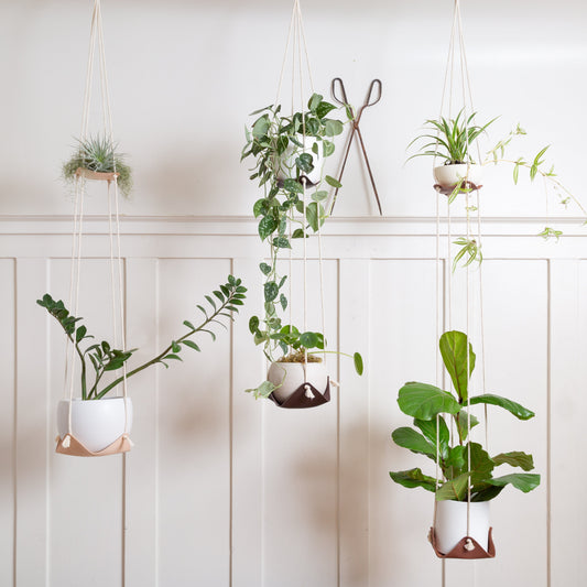 Double Leather Plant Hammock