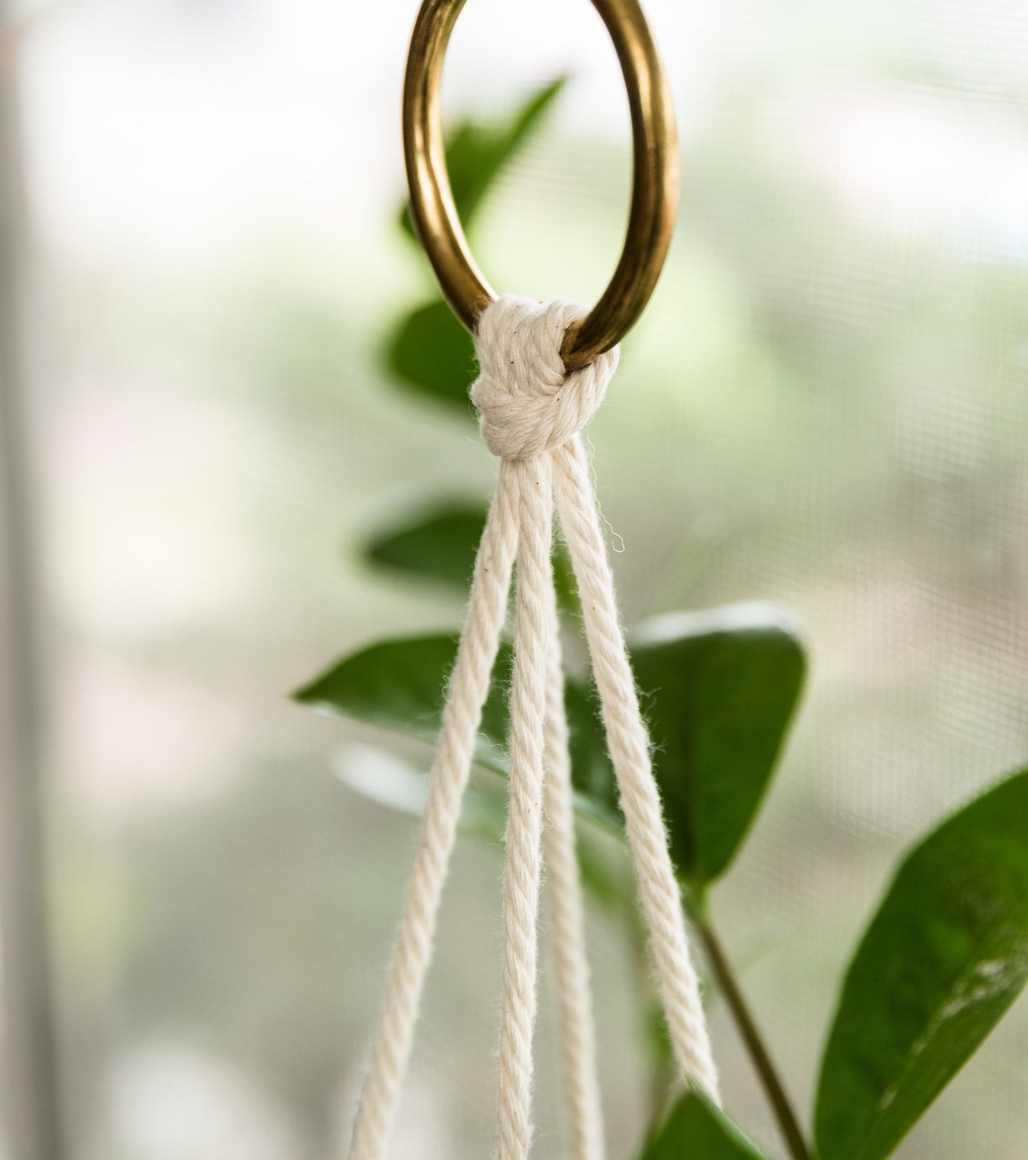 Double Leather Plant Hammock