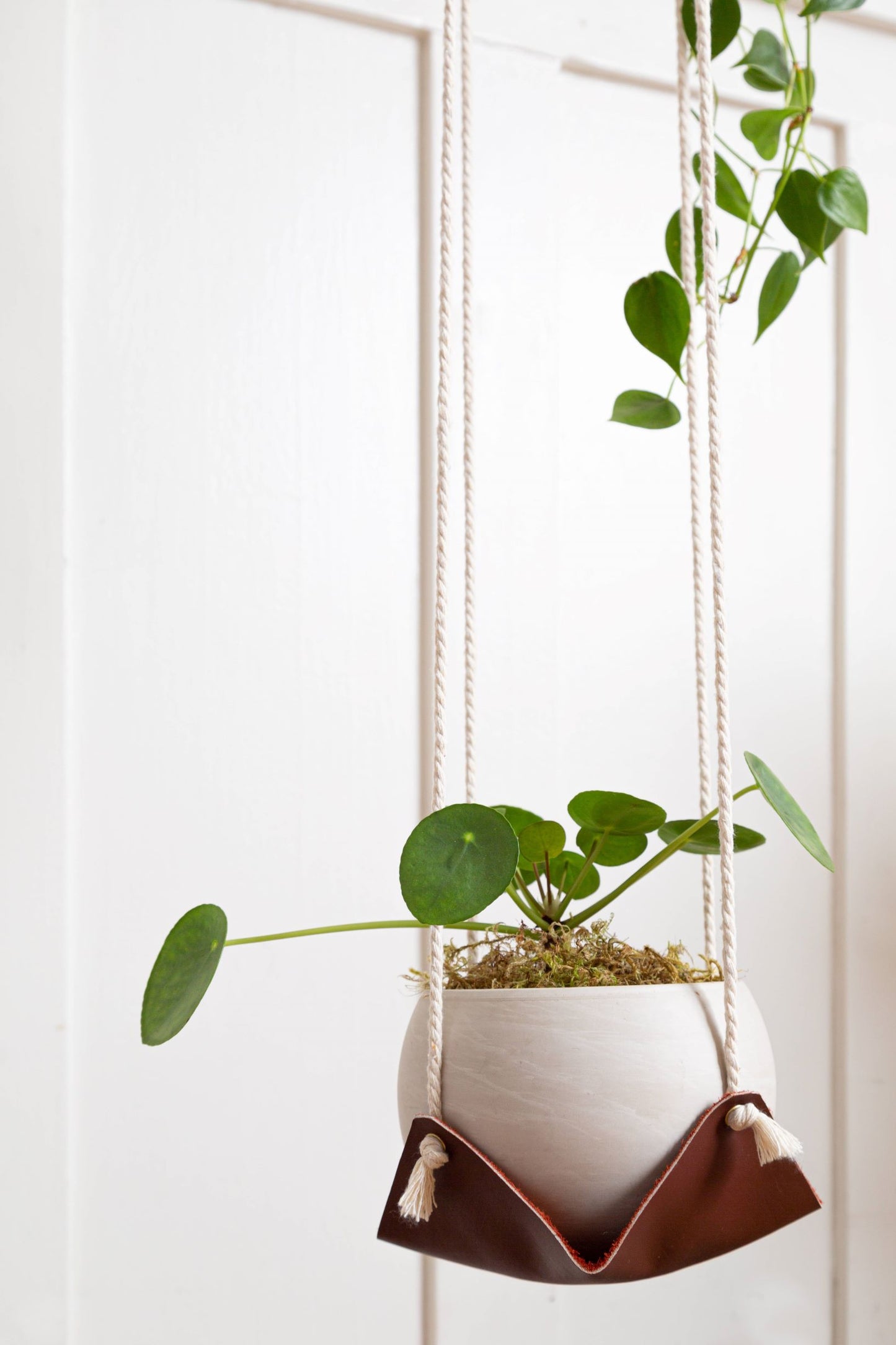 Double Leather Plant Hammock