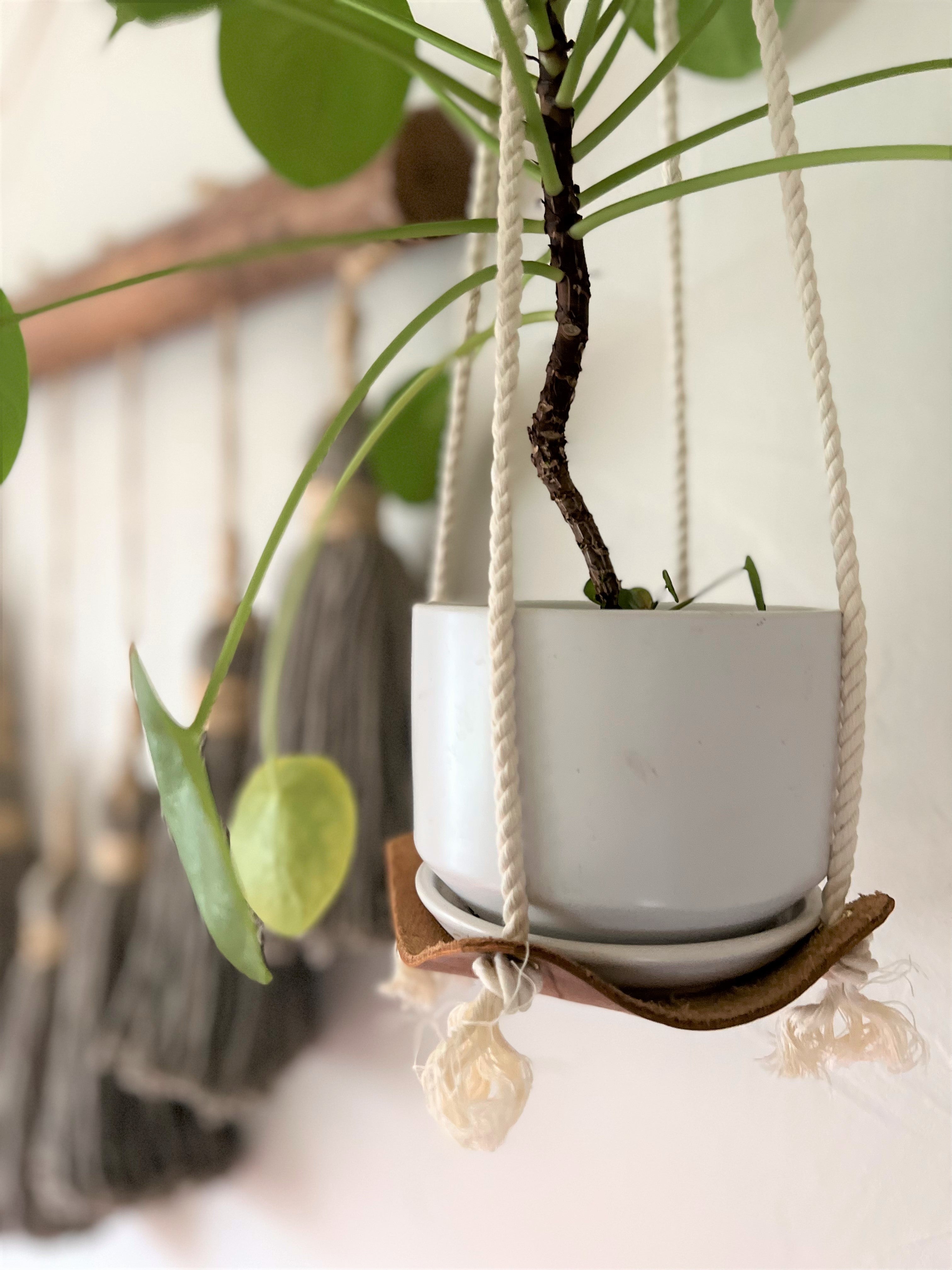 Leather Plant Hammock | Indoor Plant Hanger – Keyaiira