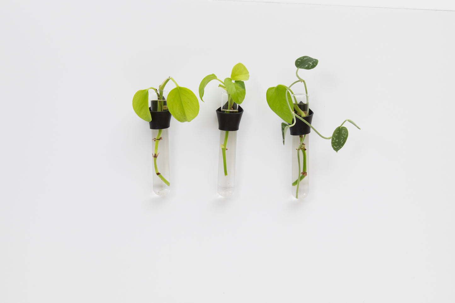 Leather Propagation Tube Holders [Set of 3]