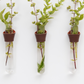 Leather Propagation Tube Holders [Set of 3]
