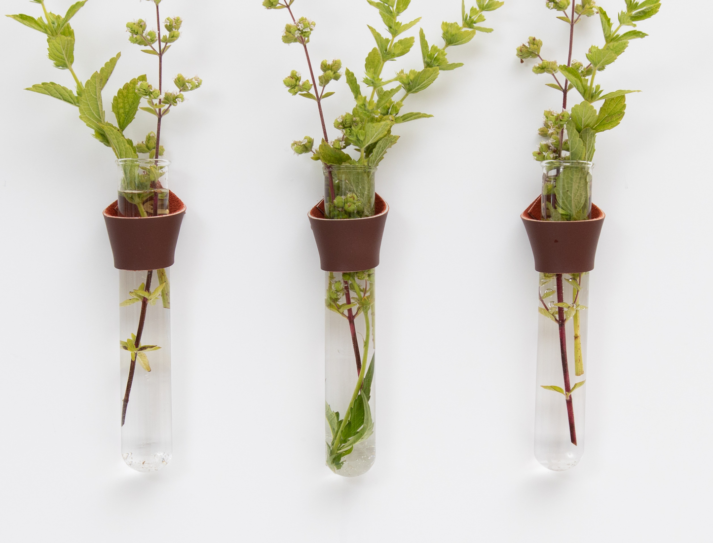 Leather Propagation Tube Holders [Set of 3]