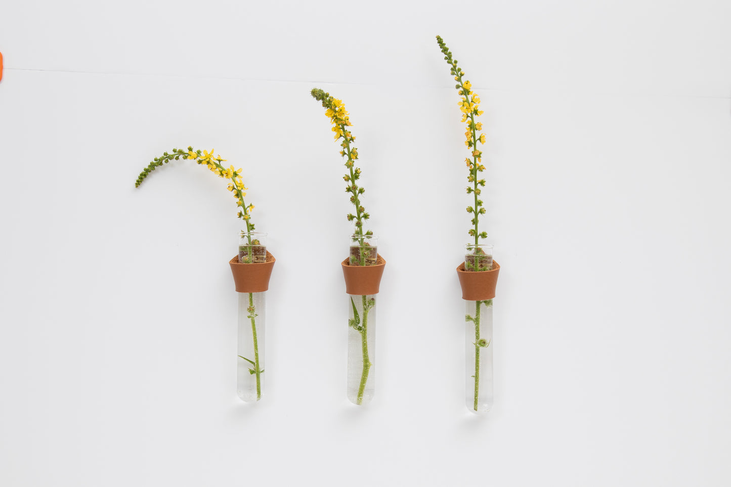 Leather Propagation Tube Holders [Set of 3]