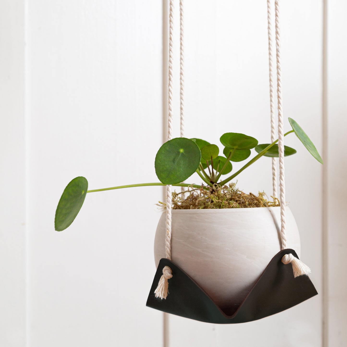 Leather Plant Hammock