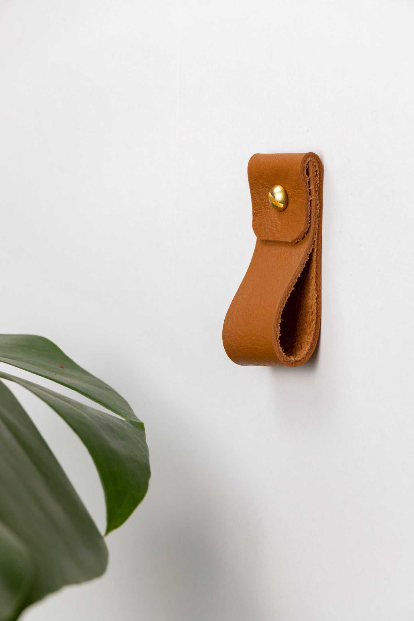 Small Leather Wall Strap