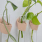 Leather Propagation Tube Holders [Set of 3]