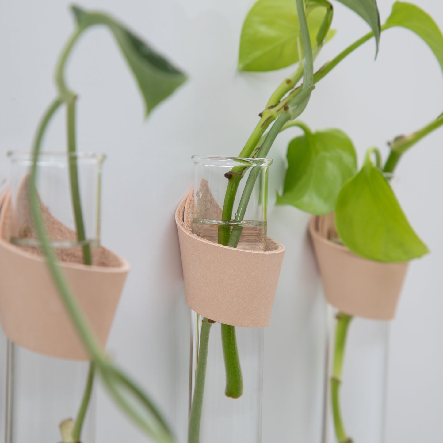 Leather Propagation Tube Holders [Set of 3]