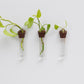 Leather Propagation Tube Holders [Set of 3]