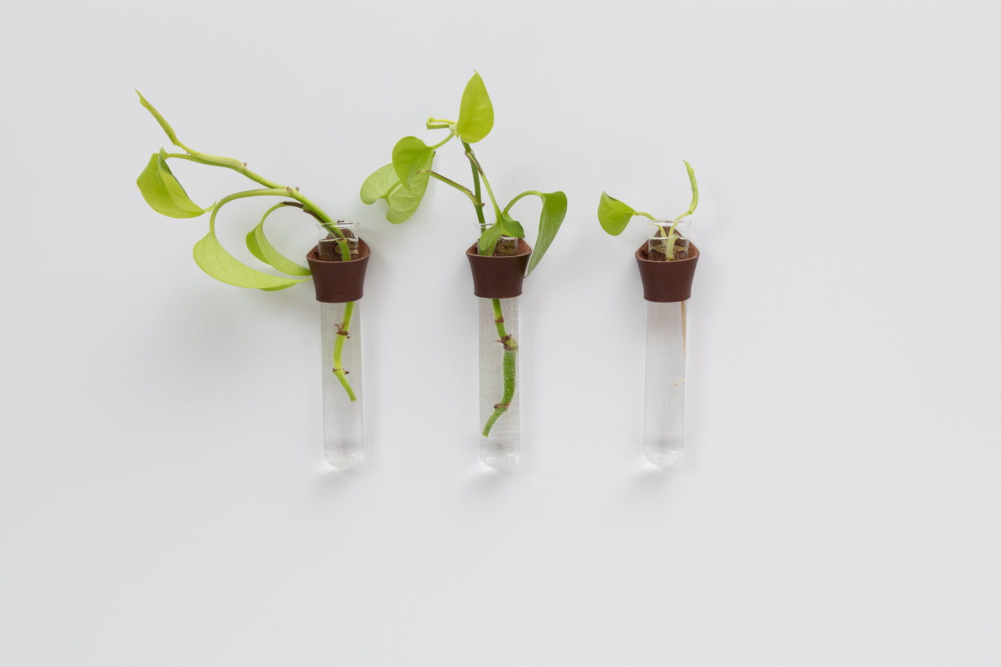 Leather Propagation Tube Holders [Set of 3]