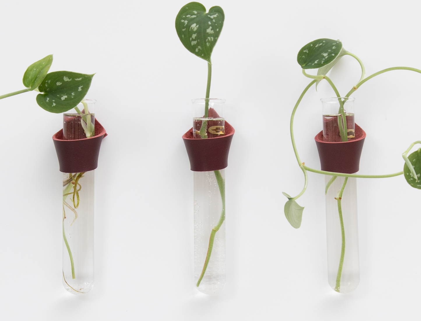 Leather Propagation Tube Holders [Set of 3]
