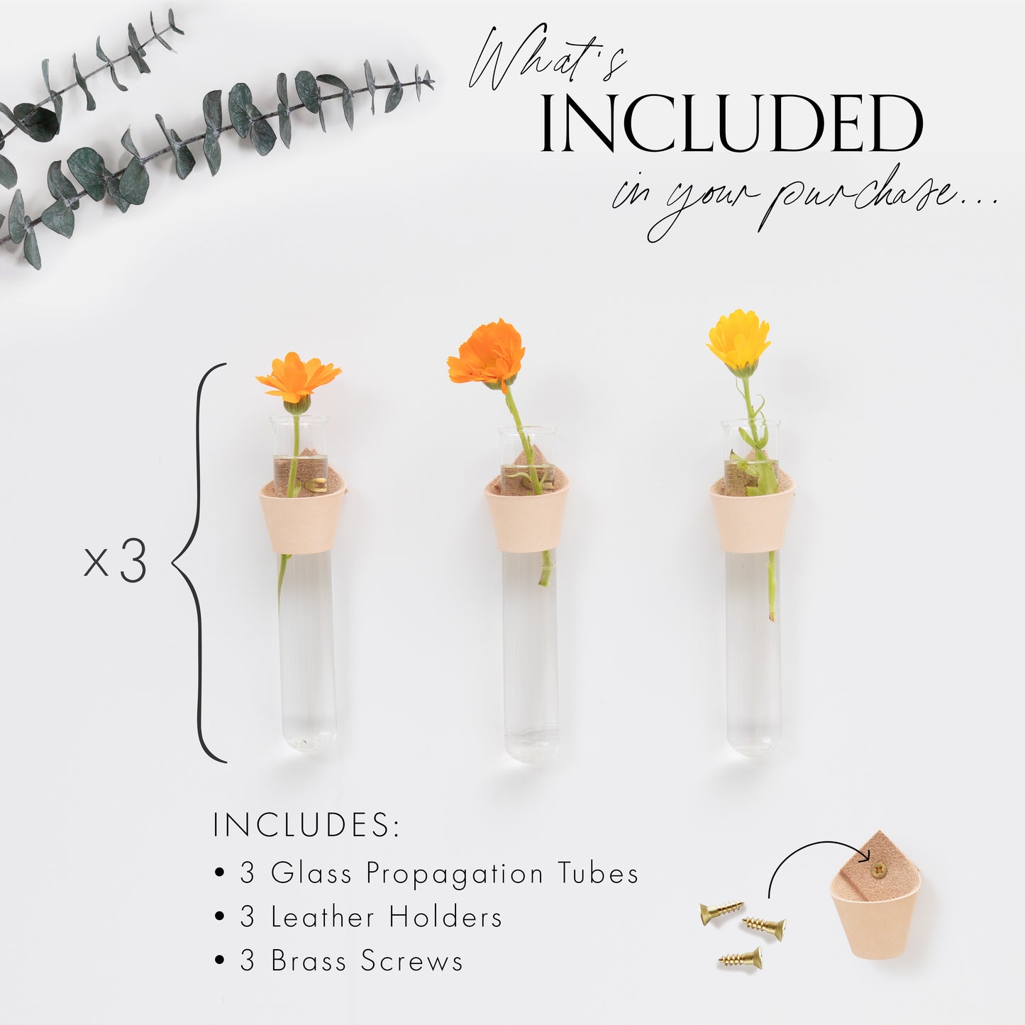 Leather Propagation Tube Holders [Set of 3]