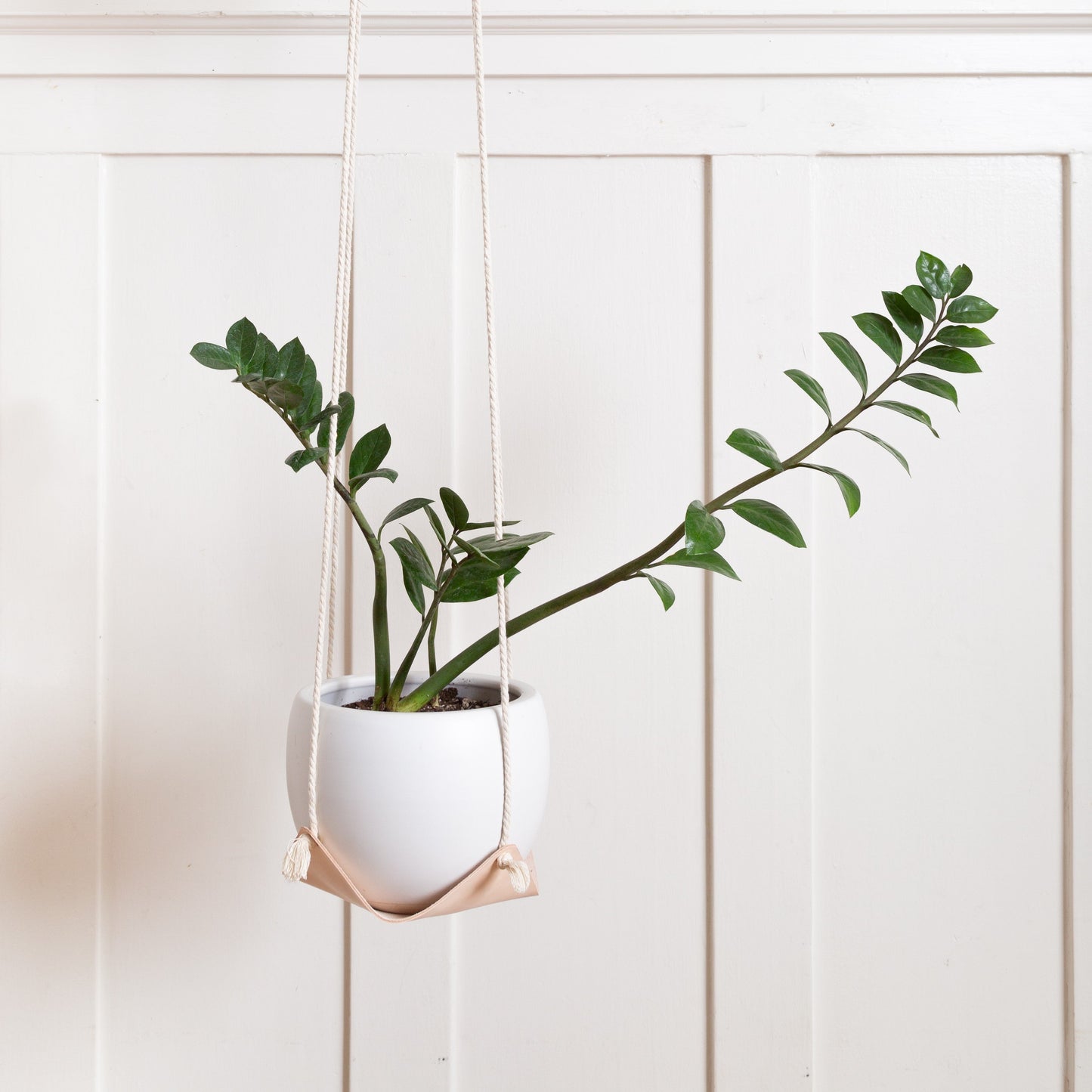 Leather Plant Hammock