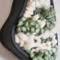 Handcrafted wall sculpture featuring a brushed black terracotta clay frame filled with soft, textured fibers in sage green, aloe green, and cream tones. The interior is densely woven with sustainable materials including organic cotton, ethically sourced merino wool, braided Egyptian cotton, and yarns spun from recycled plastic bottles. This modern botanical wall art blends natural texture with sculptural depth, making it ideal for organic home decor, fiber art lovers, or those seeking unique artisan art