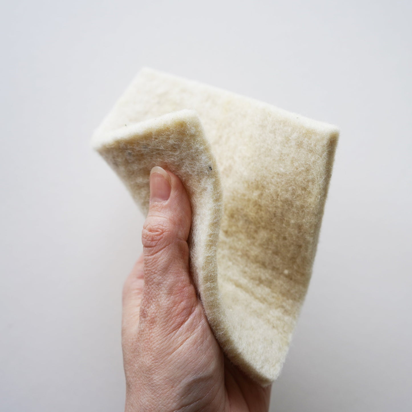 Wool Sponges